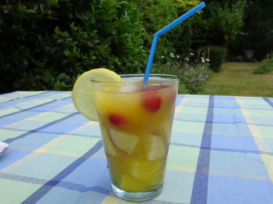 Tropical Fruity Fizz
